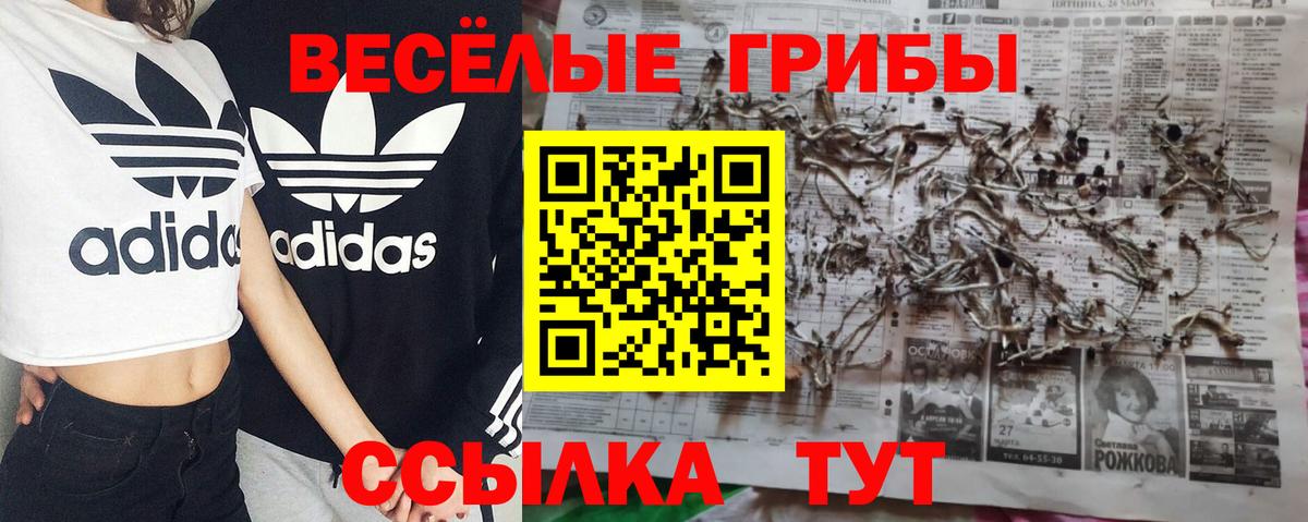 Лабытнанги  Псилоцибиновые грибы MAGIC MUSHROOMS  Галлюциногенные грибы Psilocybe  Вход с VPN 